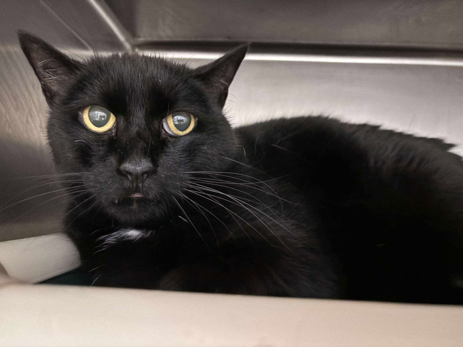 Edwina: At shelter