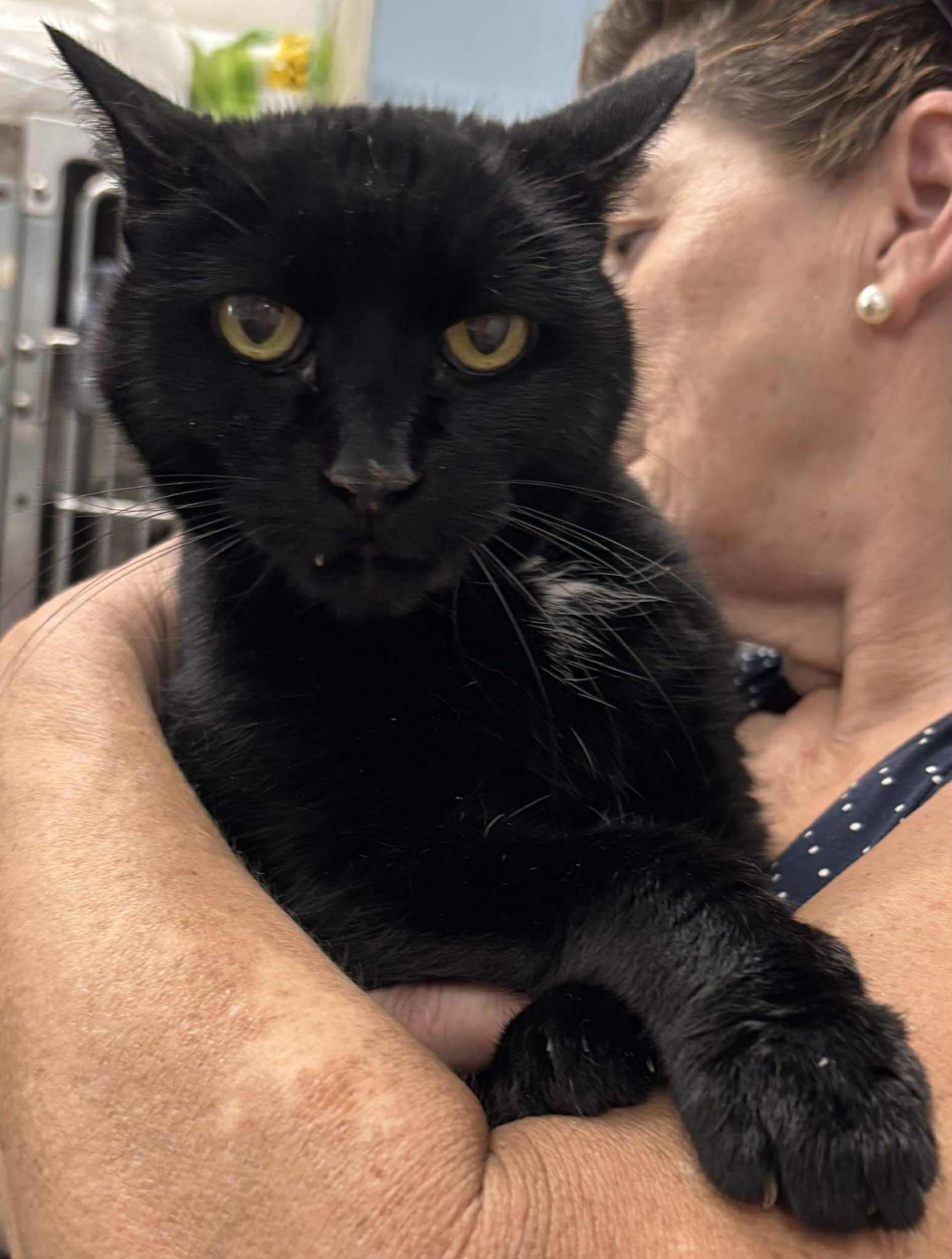 Edwina: Not at shelter (Debra)