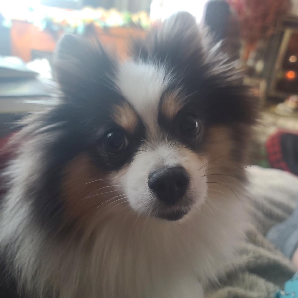 Angel aka Marge