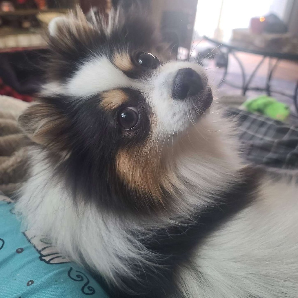 Angel aka Marge