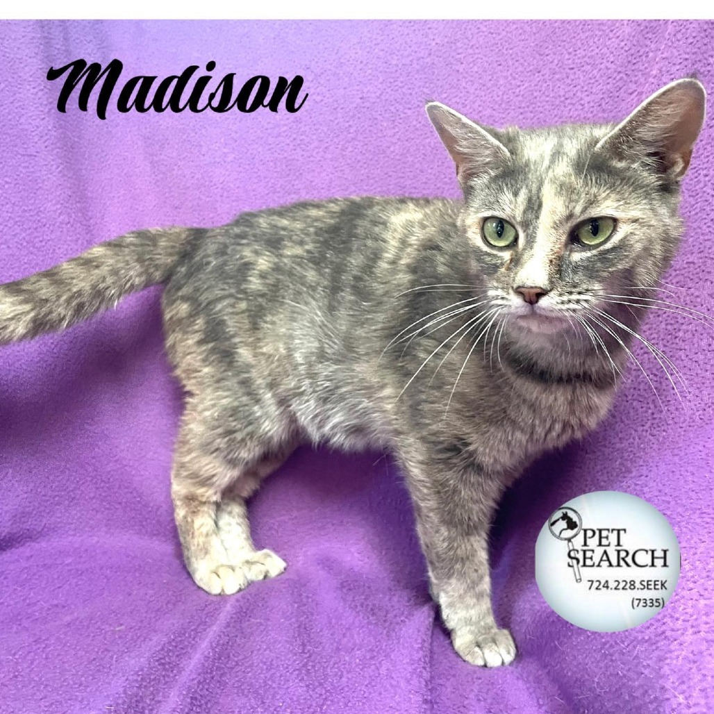 Madison