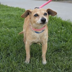 I WAS FOUND AT 2500 BLK PASADENA AVE LONG BEACH CA 90806 IN LONG BEACHMy adoption evaluation dat