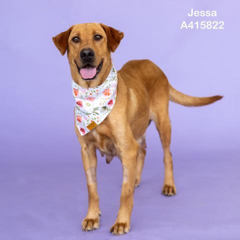JESSA