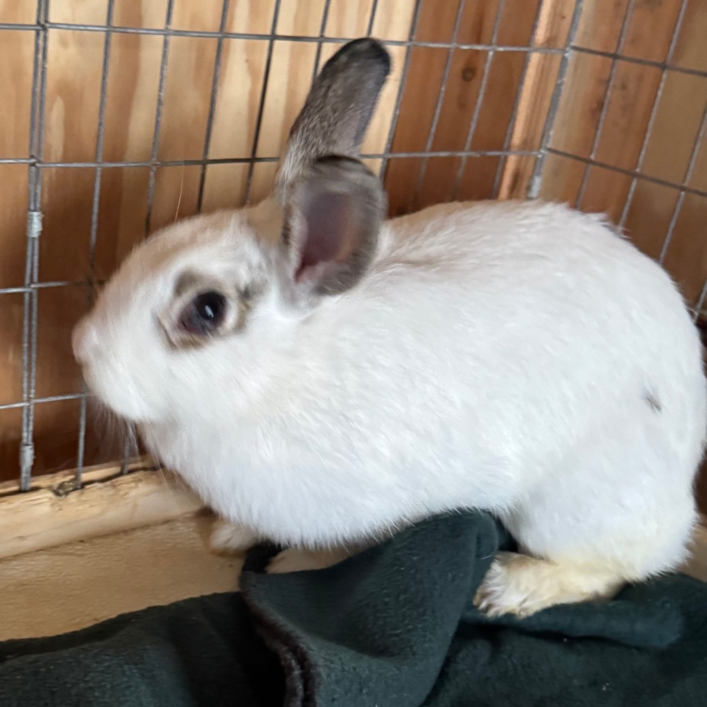 Carly(C000-293) - Chino Hills Location