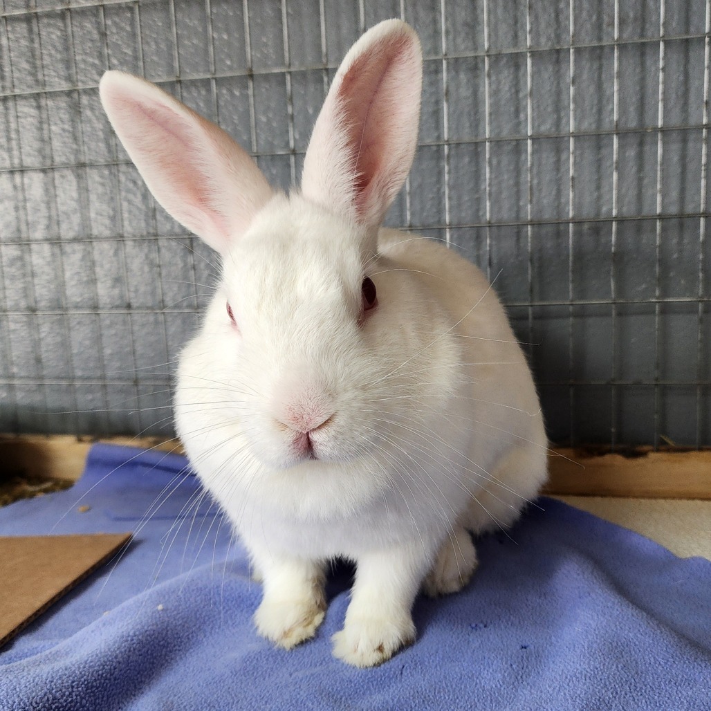 Sam(C000-292) - Chino Hills Location