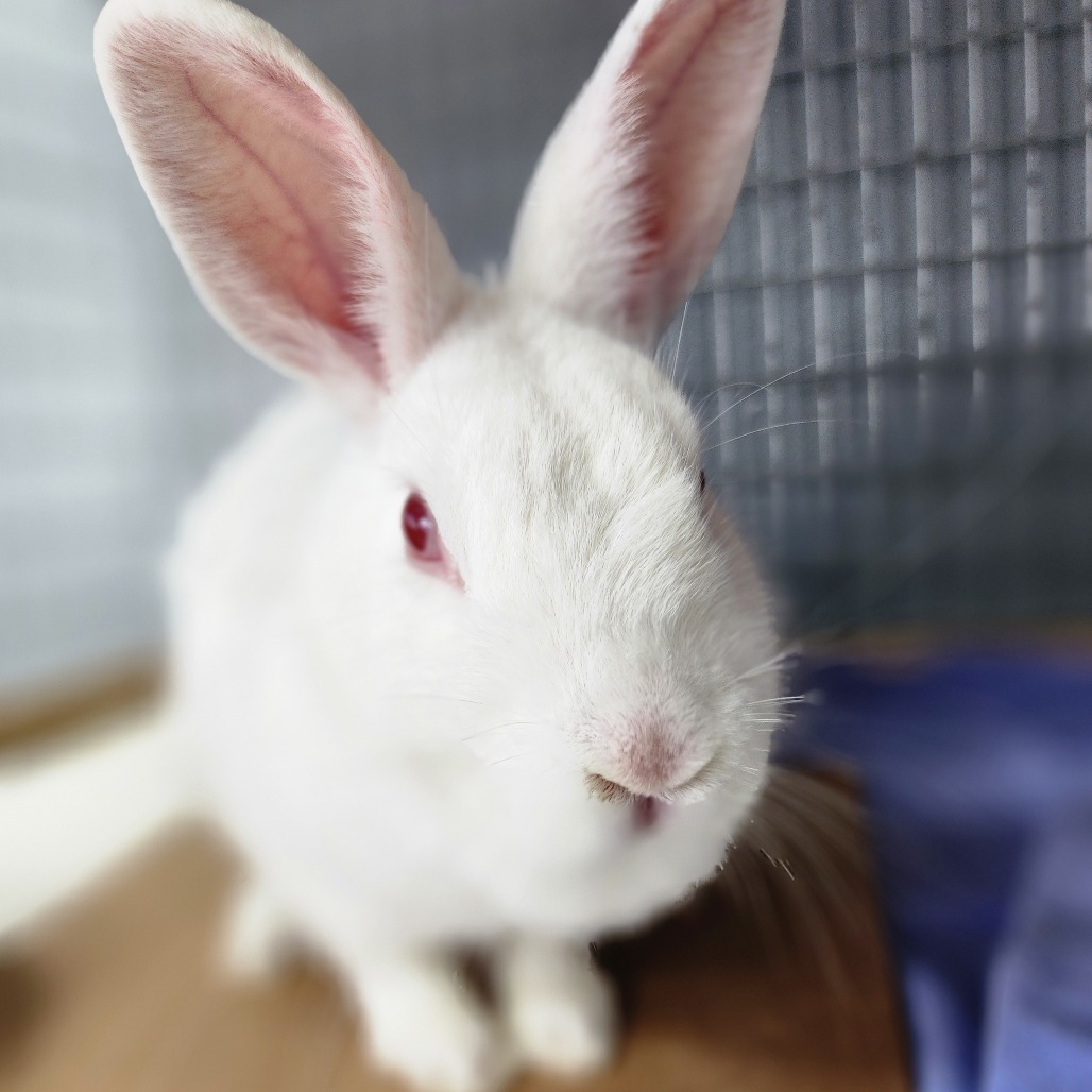 Sam(C000-292) - Chino Hills Location