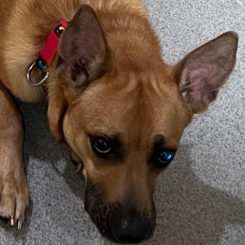 Millie C000-270- Chino Hills Location