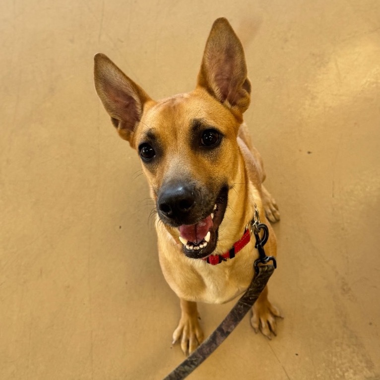 Millie C000-270- Chino Hills Location