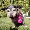Gladys photo 2