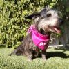 Gladys photo 3