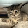 May is at Petsmart Grand Junction photo 2