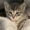 May is at Petsmart Grand Junction photo 3