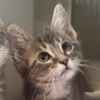 May is at Petsmart Grand Junction photo 5