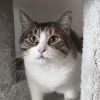 Hope photo 3