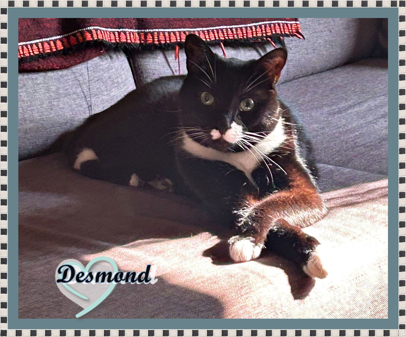 DESMOND