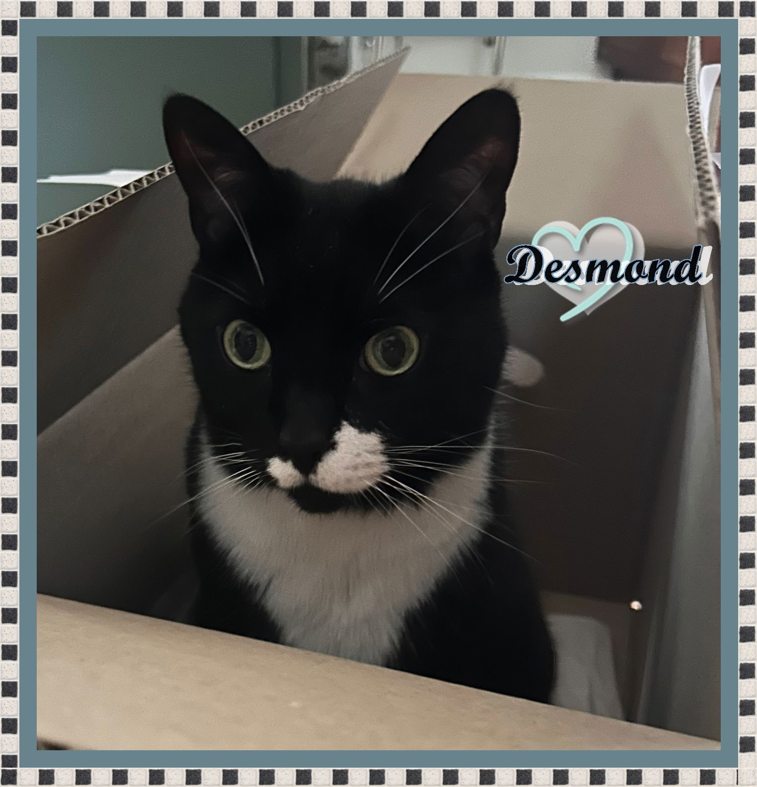 DESMOND