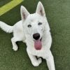 Padme photo 1