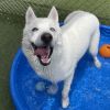 Padme photo 2