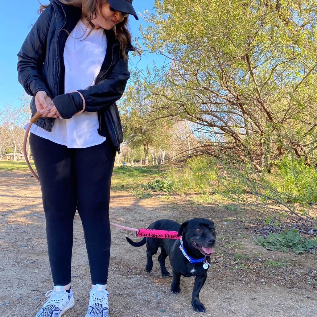 Bestie