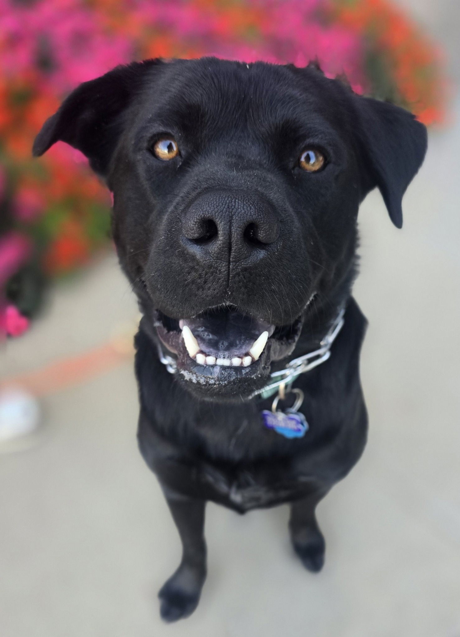 Lennox