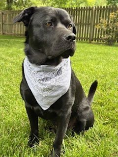 Lennox