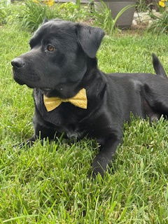 Lennox