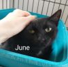 June photo 2