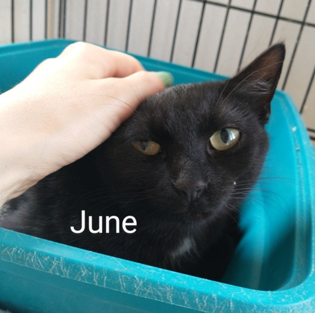 June