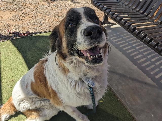 MATILDA