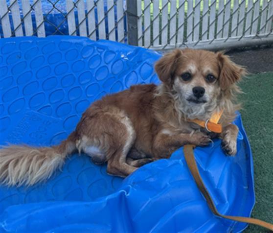 MARVIN- IN FOSTER