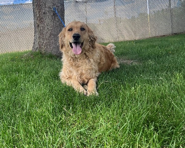 WALTER