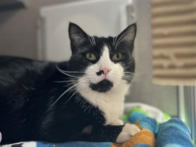 DELILAH