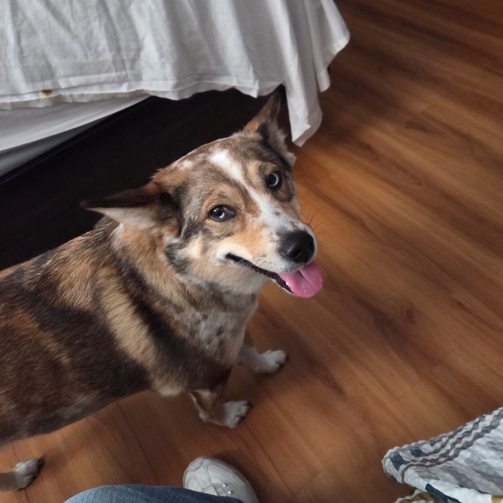 Rosie