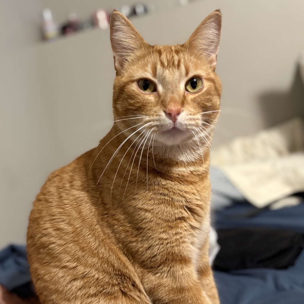 Rusty
