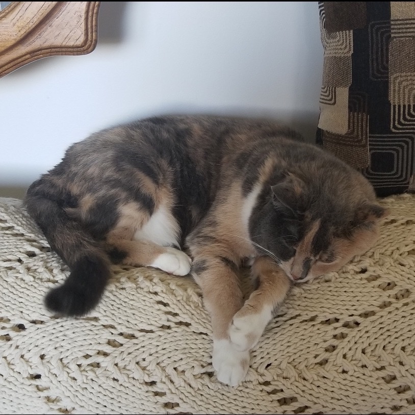 Lucy