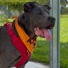 Roxie photo 6
