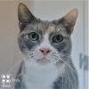 Emily DCStray photo 6