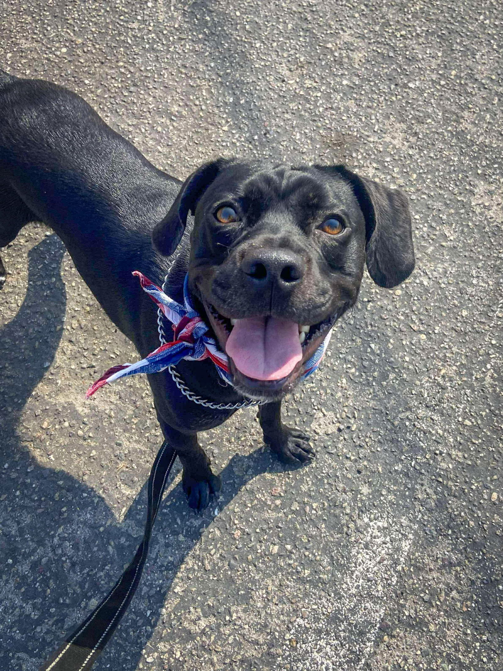 Roscoe
