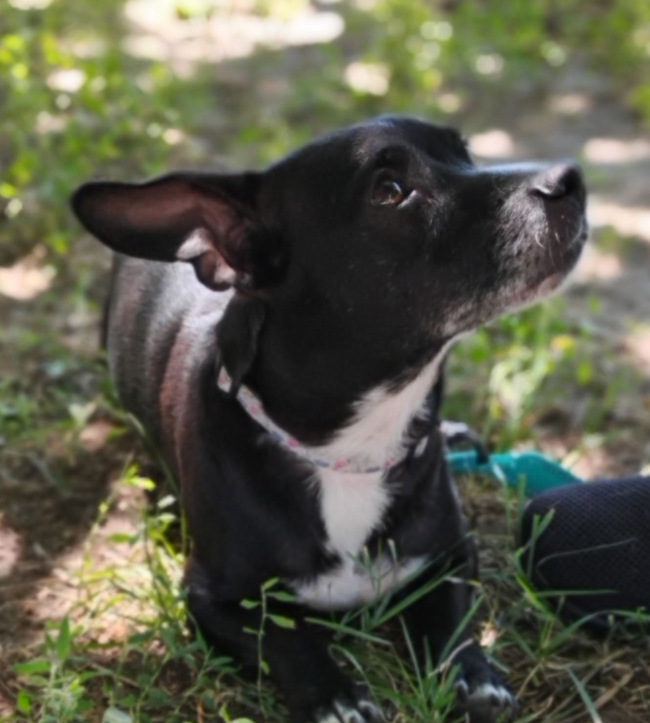 Matilda