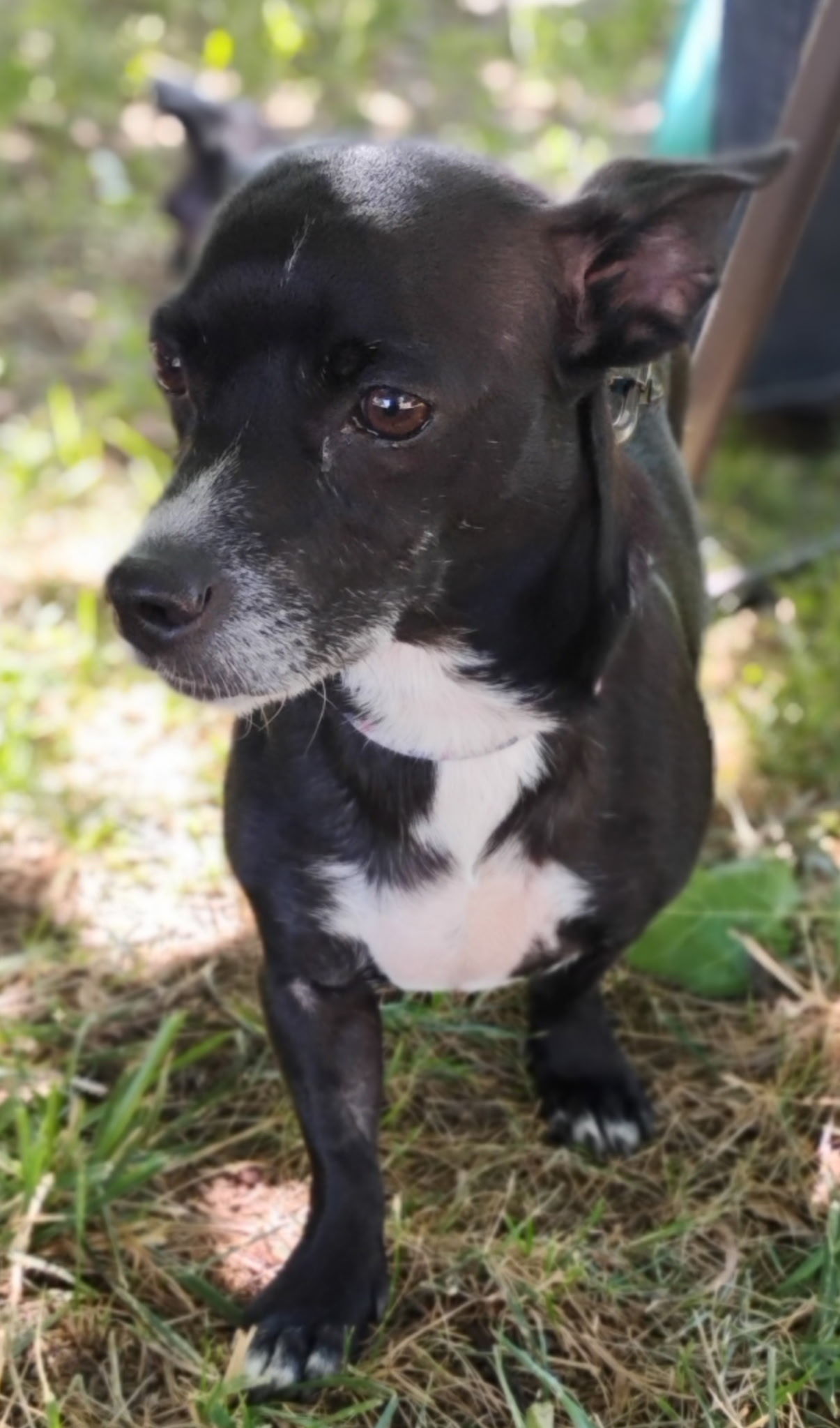 Matilda