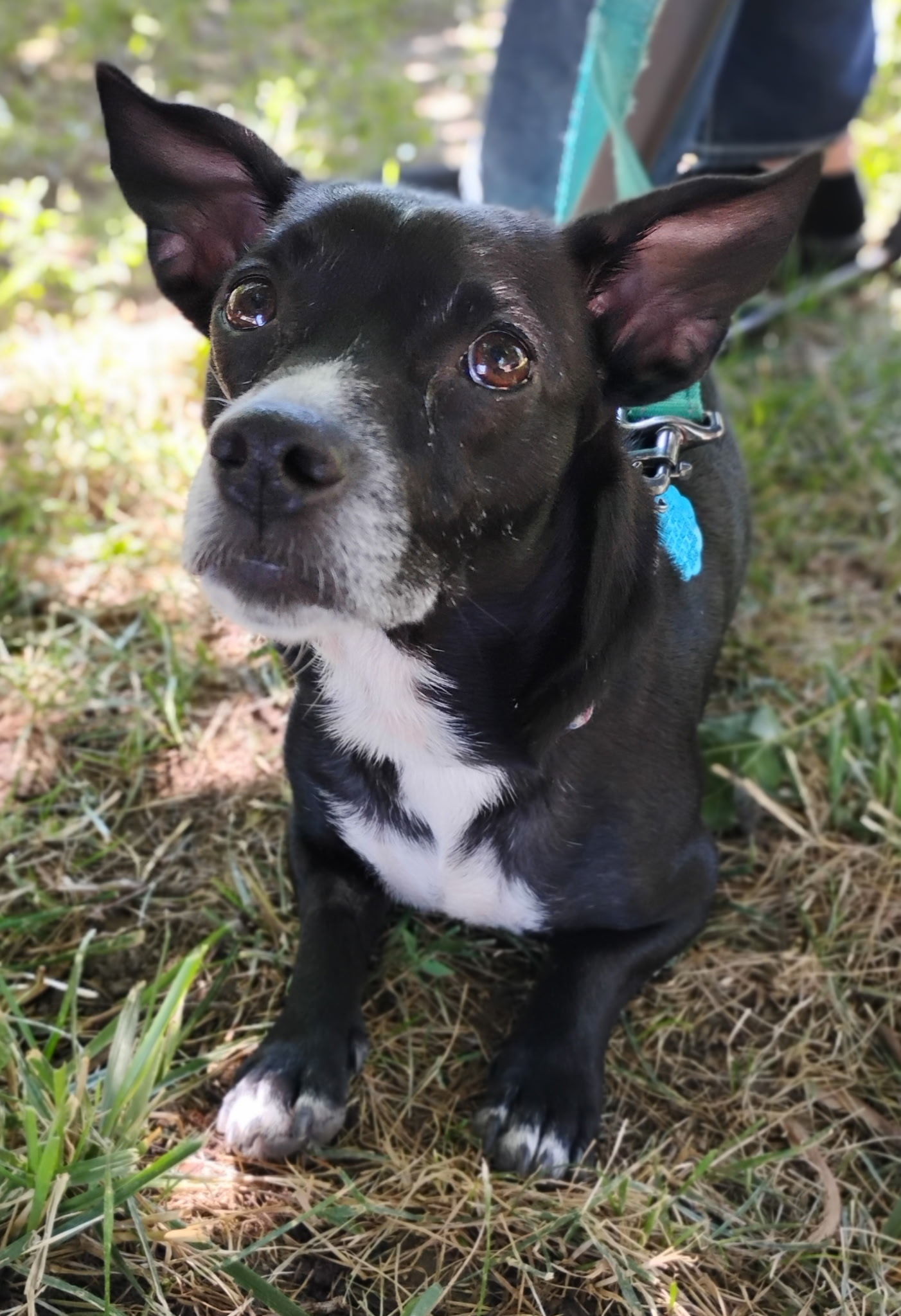 Matilda