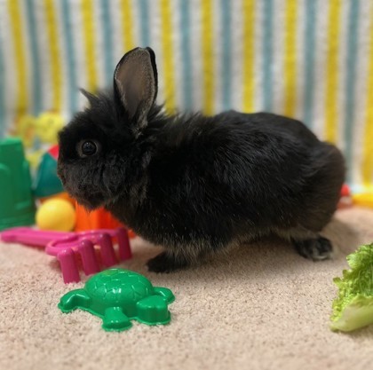 Peter