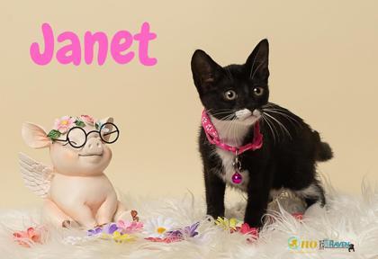 Janet