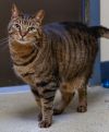 Booker (bonded with Bella) photo 2