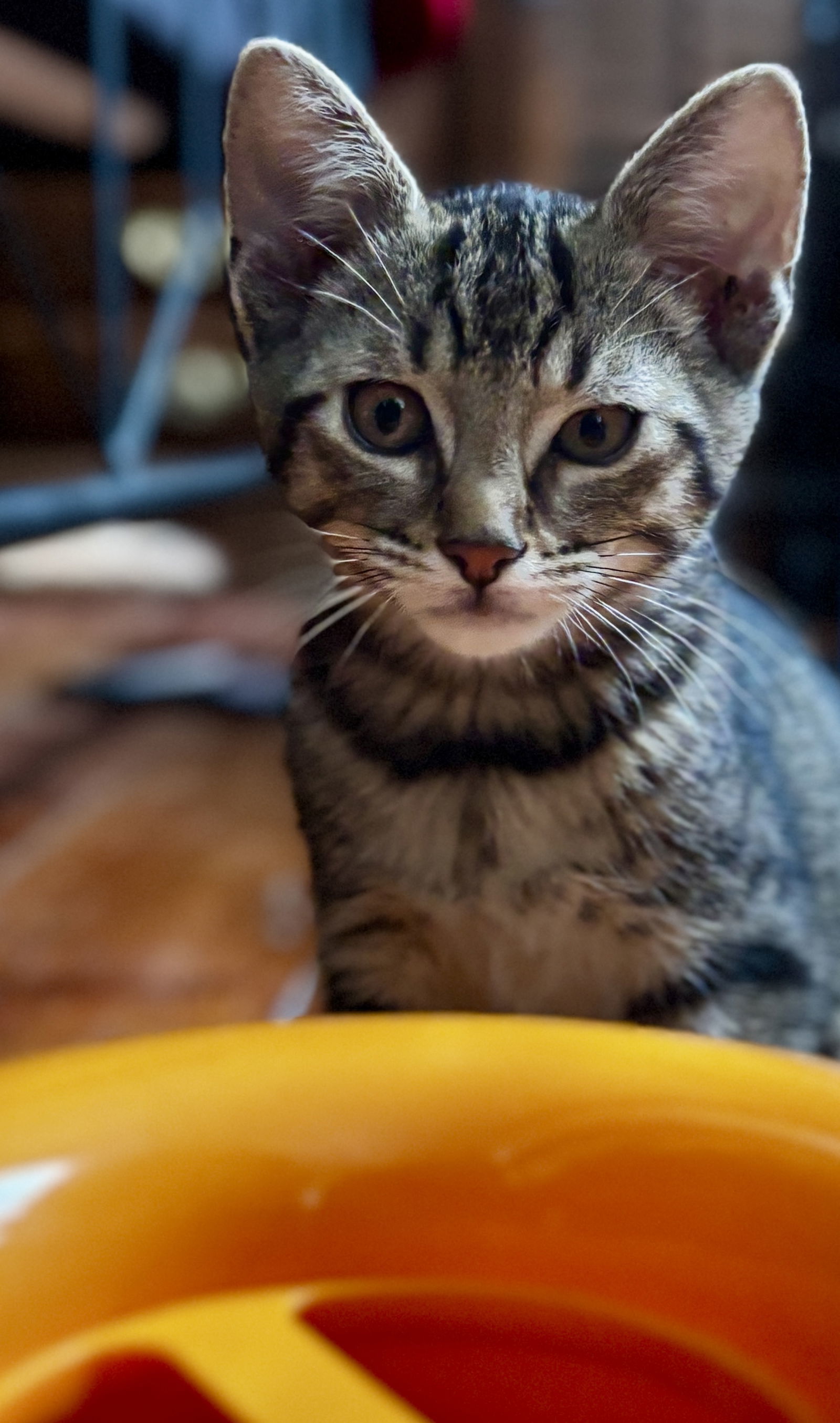 Ragnar