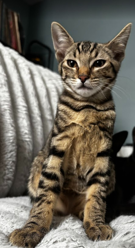 Ragnar