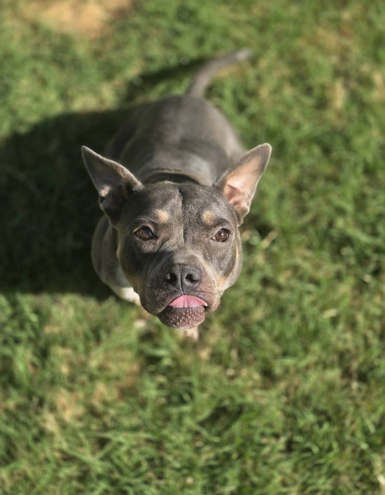 Missy