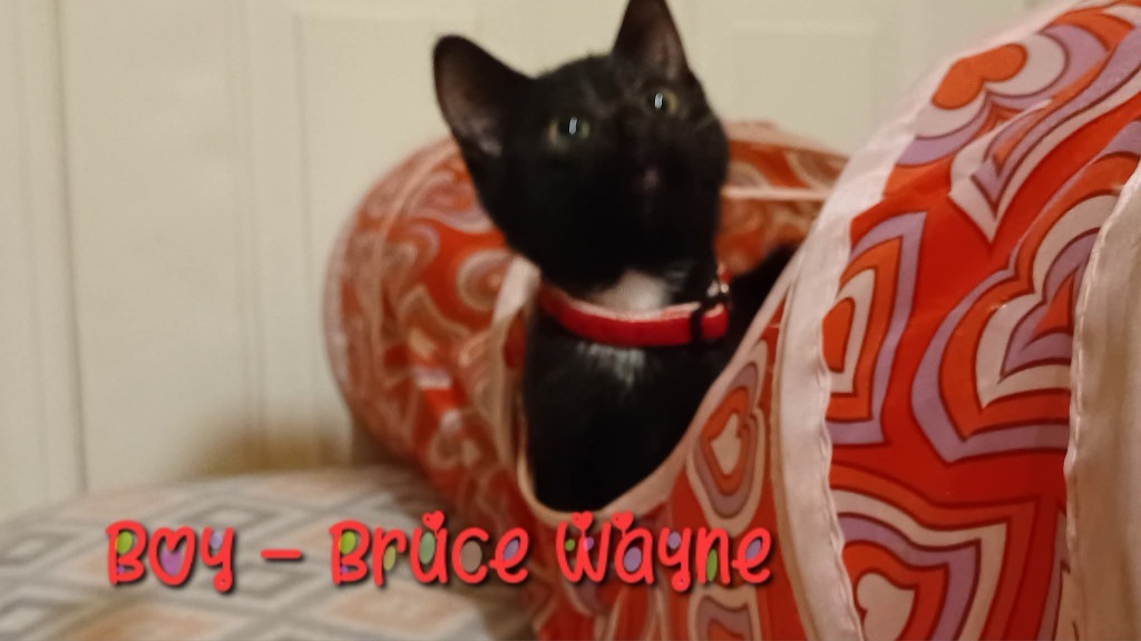 Bruce Wayne