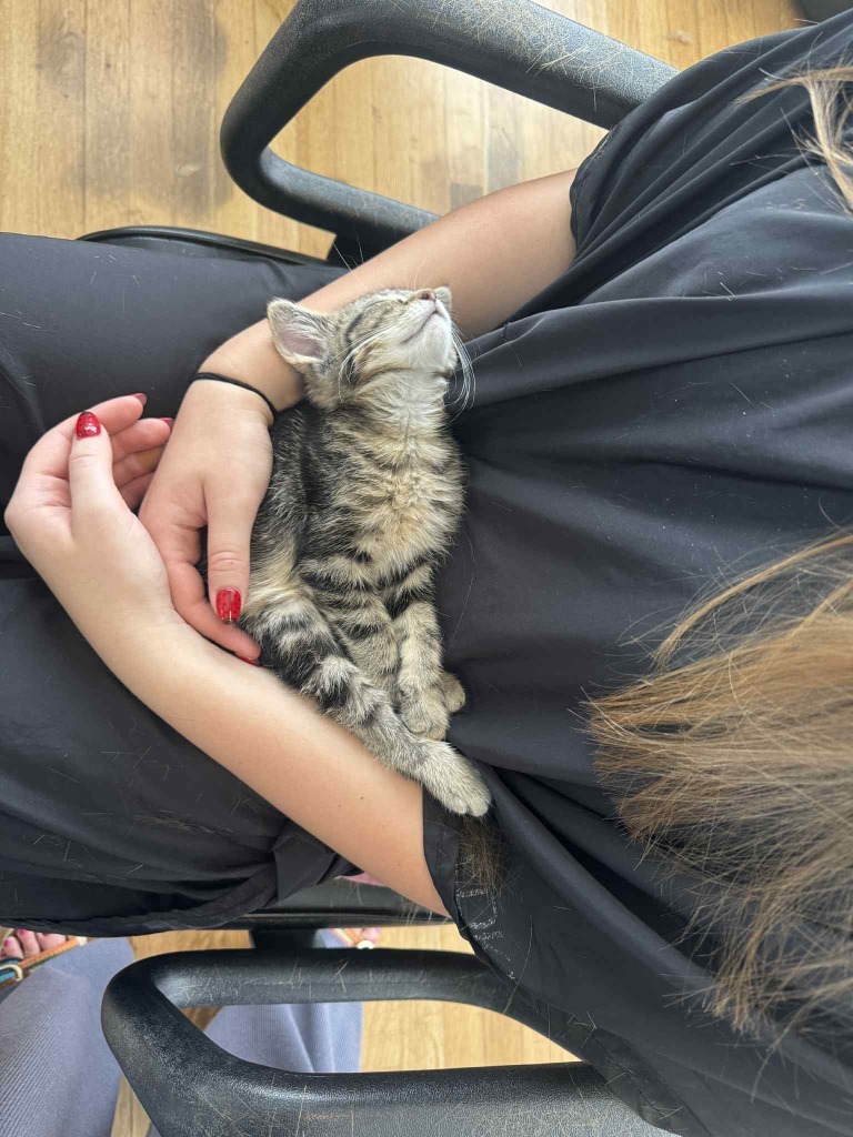 Pekoe