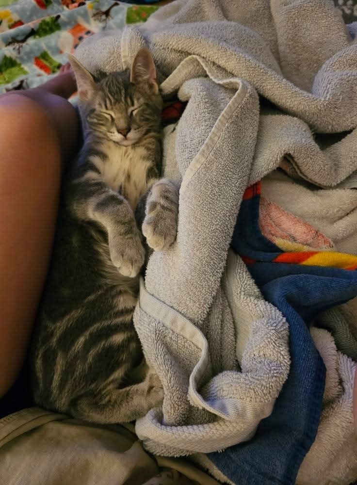 Mufasa